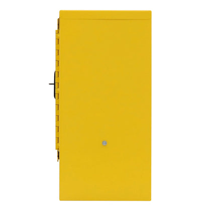 Flammable Storage, 1 Gallon, Manual